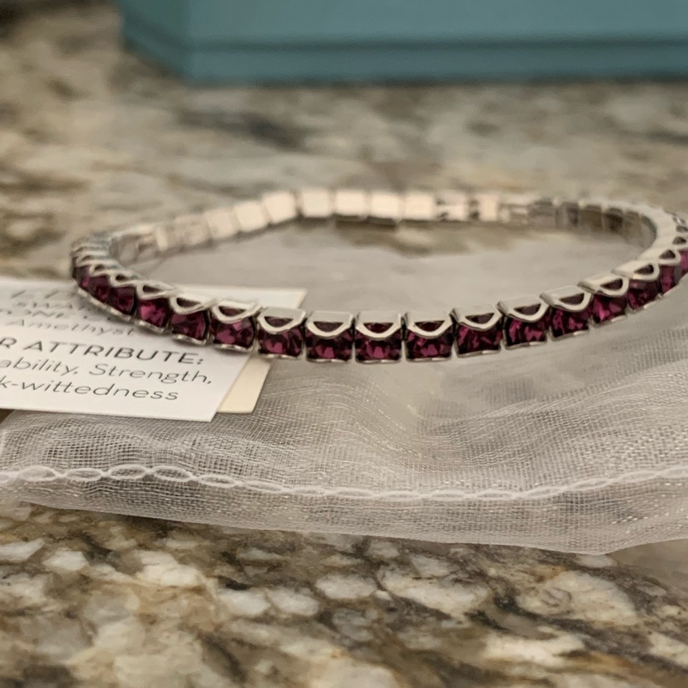 Touchstone Crystal February Birthstone Bracelet